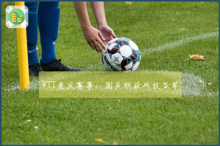 WTT重庆赛事,国乒斩获两枚亚军