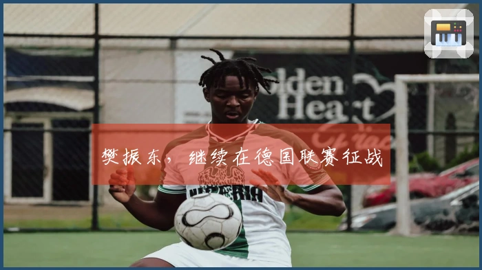 樊振东,继续在德国联赛征战