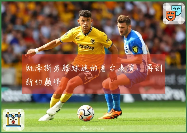 凯泽斯劳滕球迷的看台表演，再创新的巅峰