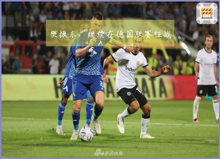 樊振东，继续在德国联赛征战